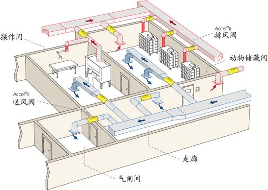 動物實驗室暖通設(shè)計：凈化動物房裝修  CEIDI西遞